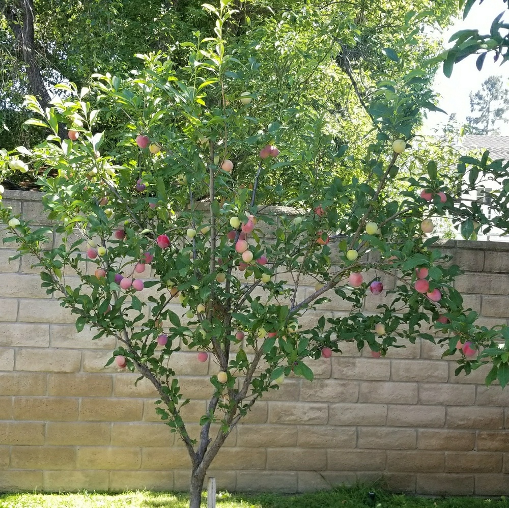 I sell recycled clothing shoes jewelry exsesries